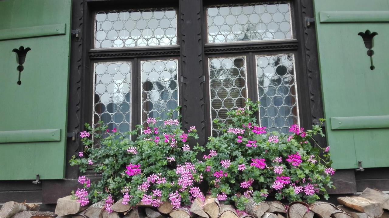 Apartment Chalet Kladska Mariánské Lázně Exterior foto